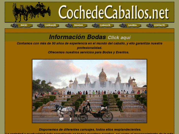 www.cochedecaballos.net