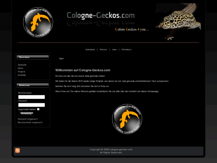 www.cologne-geckos.com