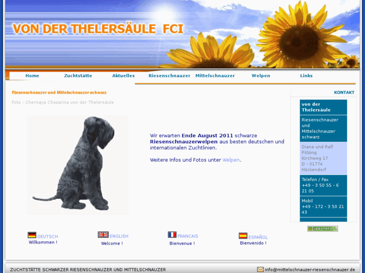 www.giantschnauzerkennel.de