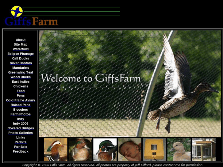 www.giffsfarm.com