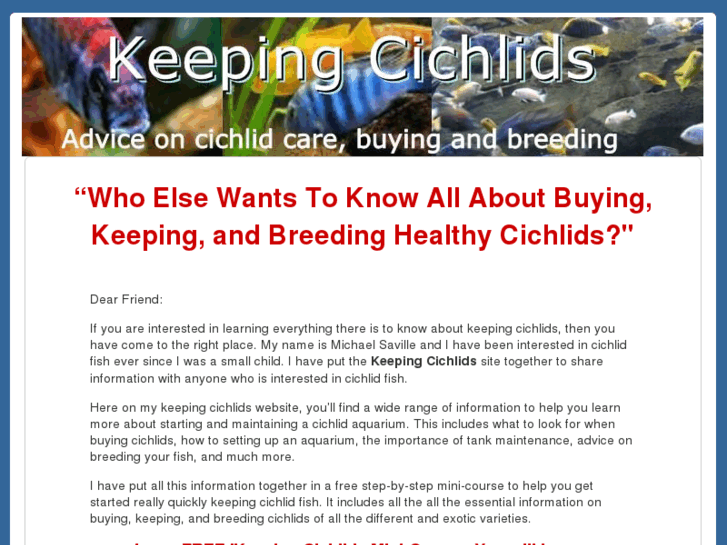 www.keepingcichlids.com