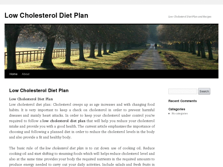 www.lowcholesteroldietplan.org