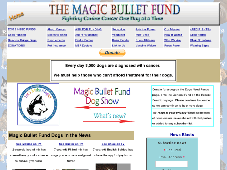 www.magicbulletfund.org