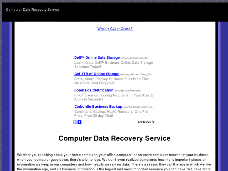 www.computerdatarecoveryservice.com