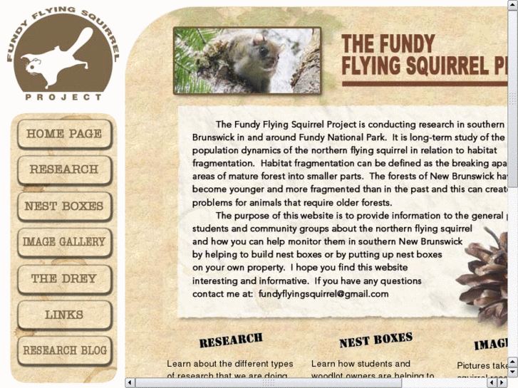 www.fundyflyingsquirrel.com