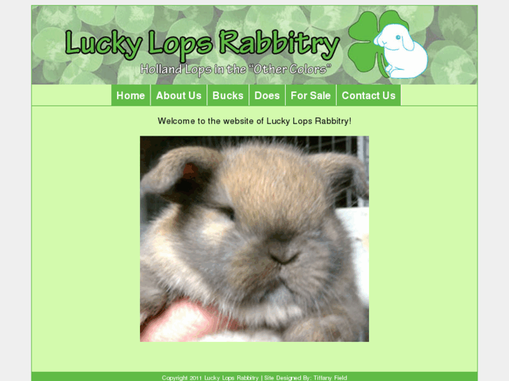 www.luckylops.com
