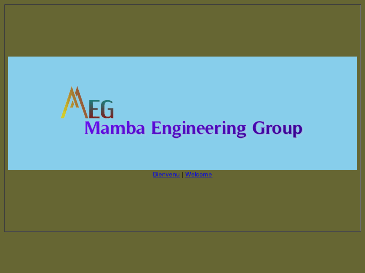 www.mambaengineering.com