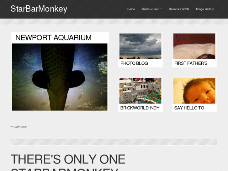 www.starbarmonkey.com