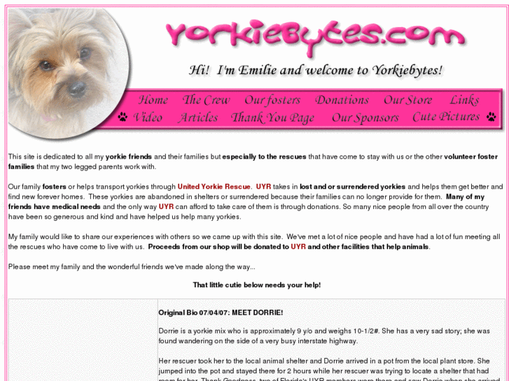 www.yorkiebytes.com