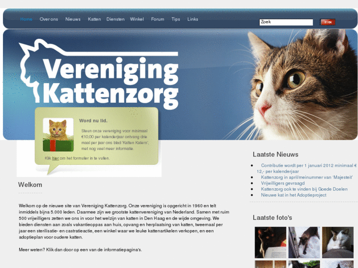 www.kattenzorg-denhaag.nl