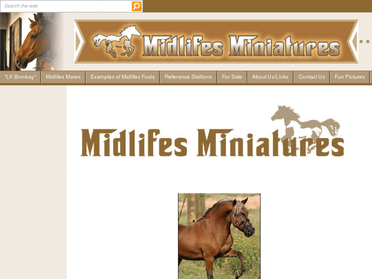 www.midlifesminiatures.com