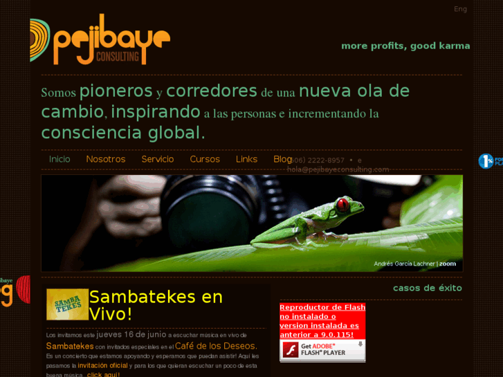 www.pejibayeconsulting.com