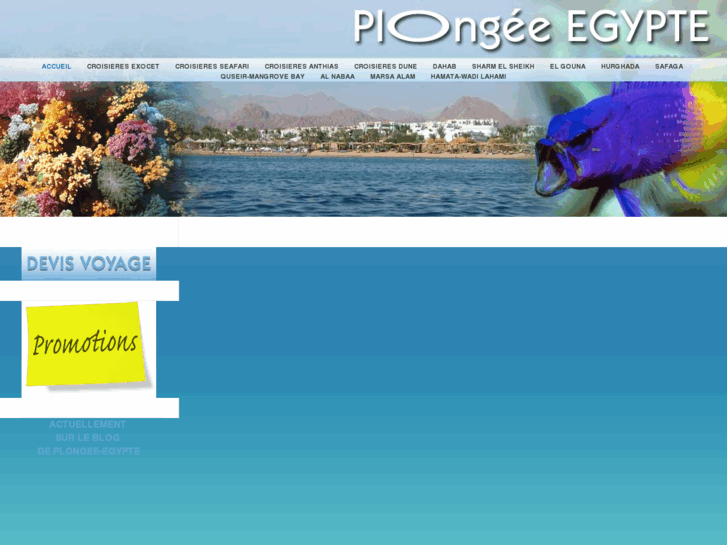 www.plongee-egypte.net