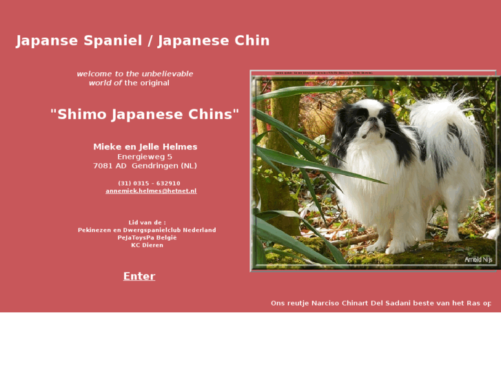 www.shimojapanesechin.com