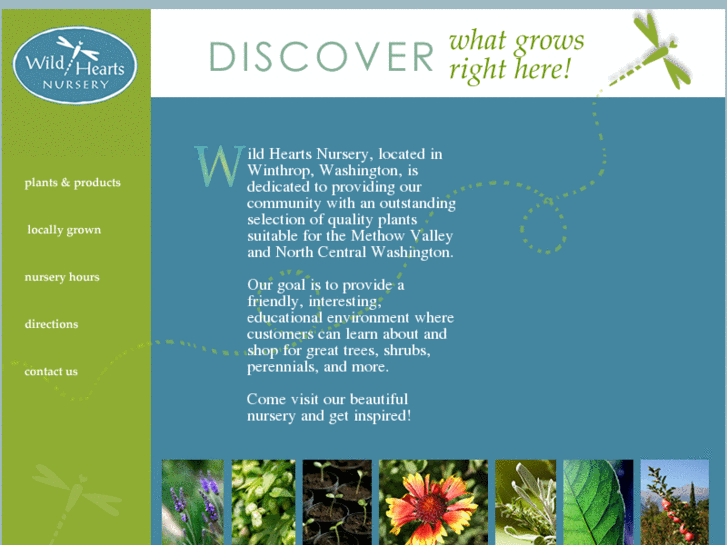 www.wildheartsnursery.com