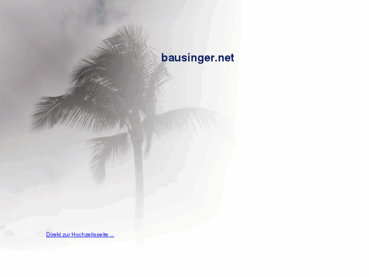 www.bausinger.net