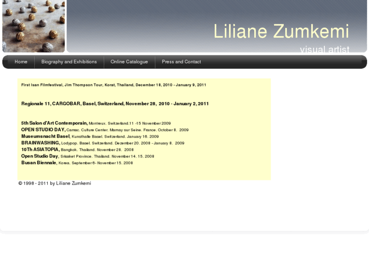 www.zumkemi.net