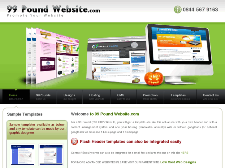 www.99-pound-website.com