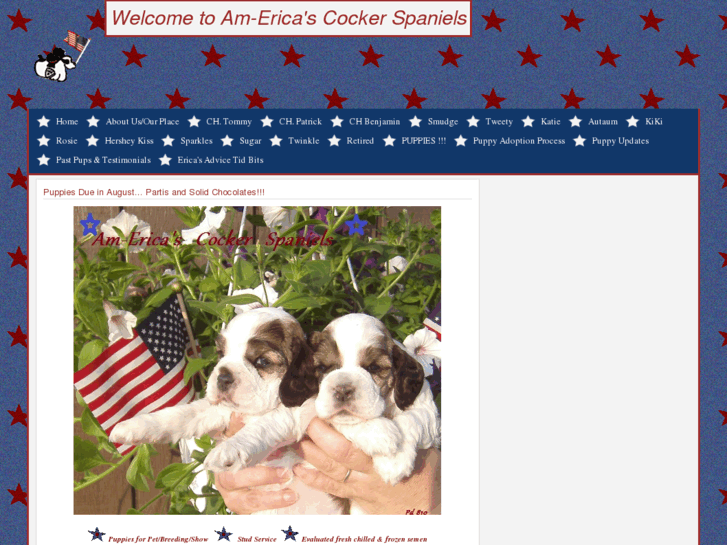 www.americascockerspaniels.com