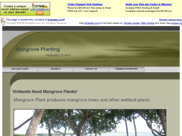 www.mangroveplant.com