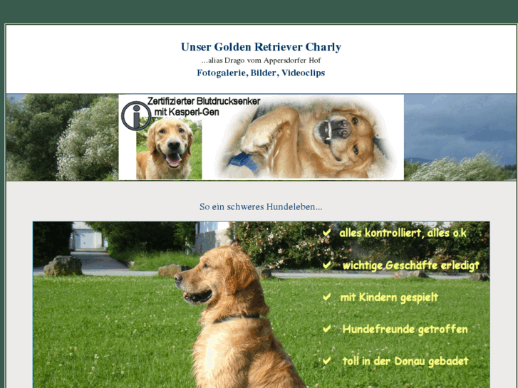 www.mygoldenretriever.de