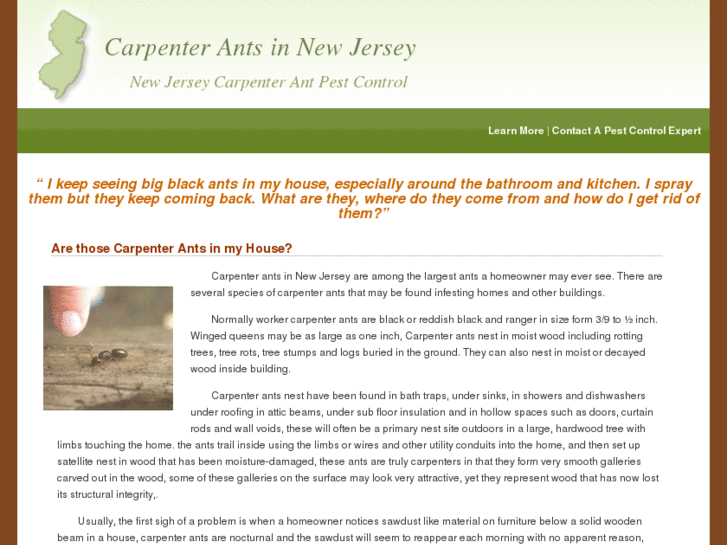 www.new-jersey-carpenter-ants.com