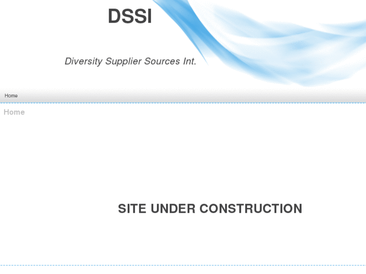 www.dssint.net