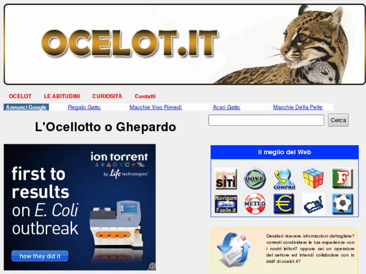 www.ocelot.it