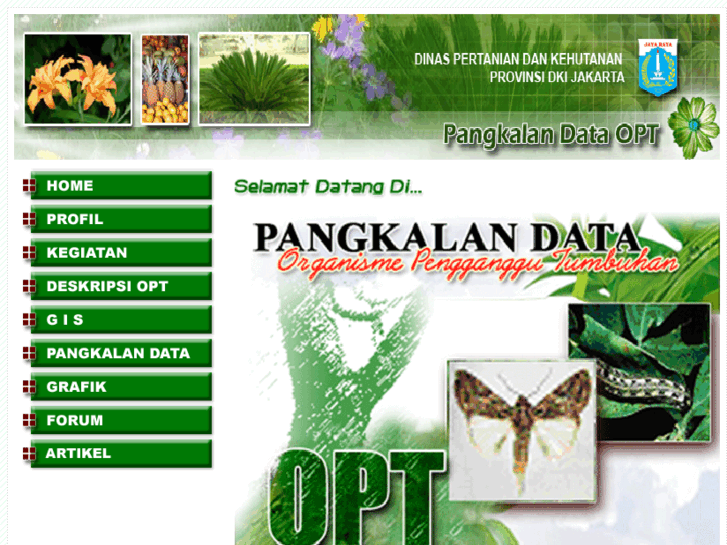 www.pangkalandata-opt.net