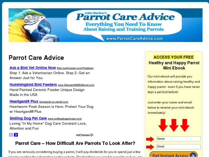 www.parrotcareadvice.com