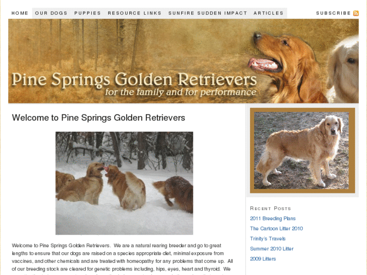 www.pinespringsgoldens.com