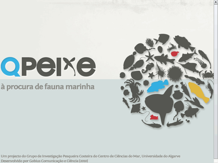 www.qpeixe.com