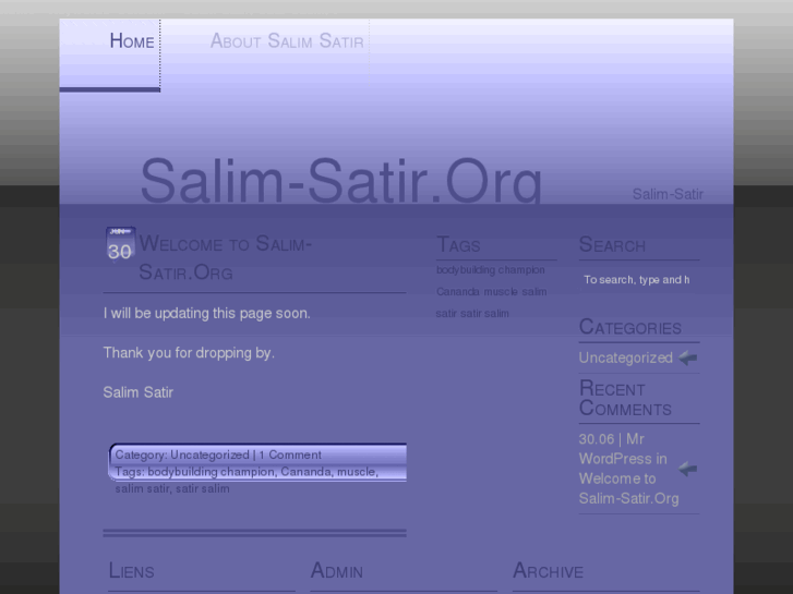 www.salim-satir.org