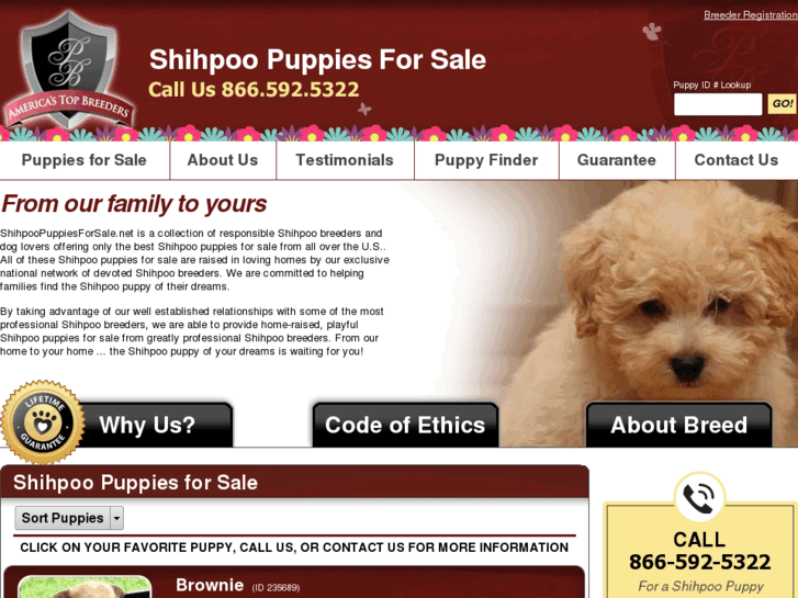 www.shihpoopuppiesforsale.net