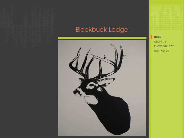 www.blackbucklodge.com