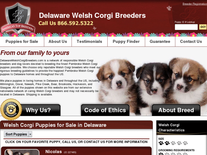 www.delawarewelshcorgibreeders.com