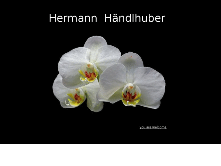 www.handlhuber.org