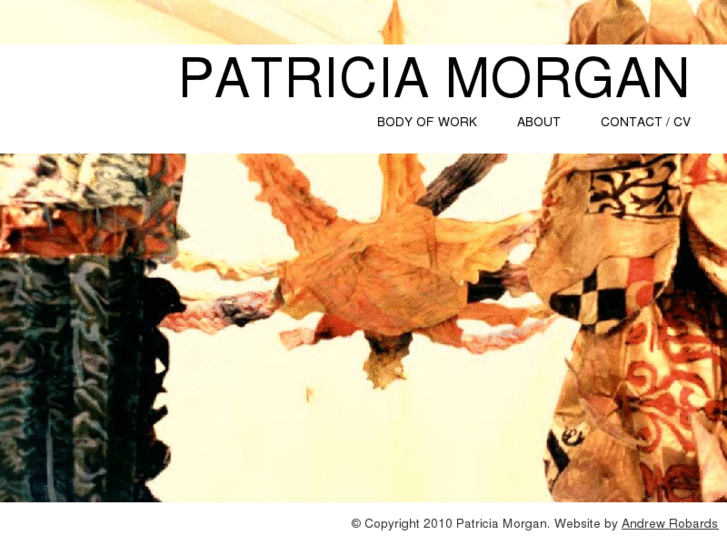 www.patriciafaymorgan.com