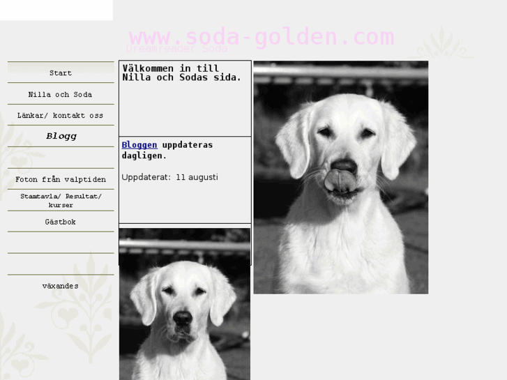 www.soda-golden.com