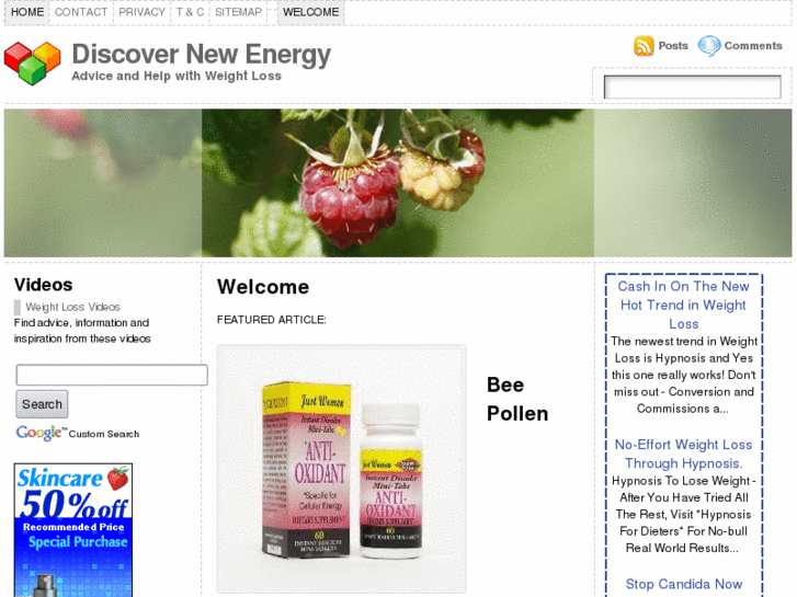 www.discovernewenergy.com