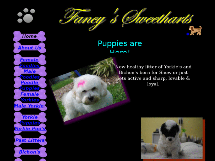 www.fancypawsrus.com