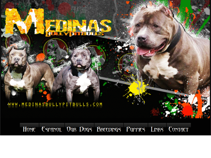 www.medinasbullypitbulls.com