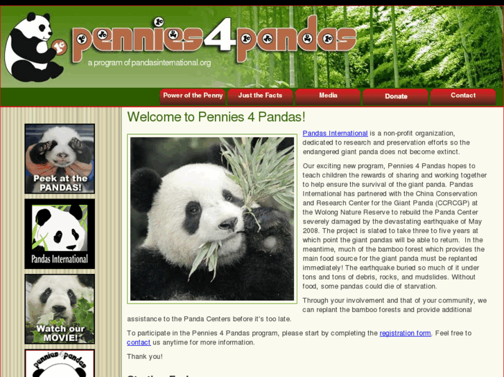 www.penniesforpandas.org