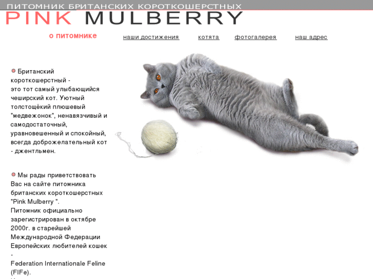 www.pinkmulberry.com