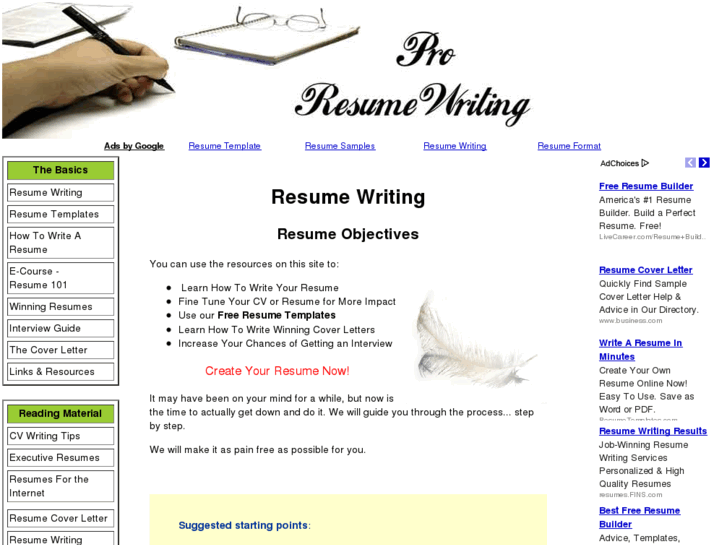 www.proresumewriting.com