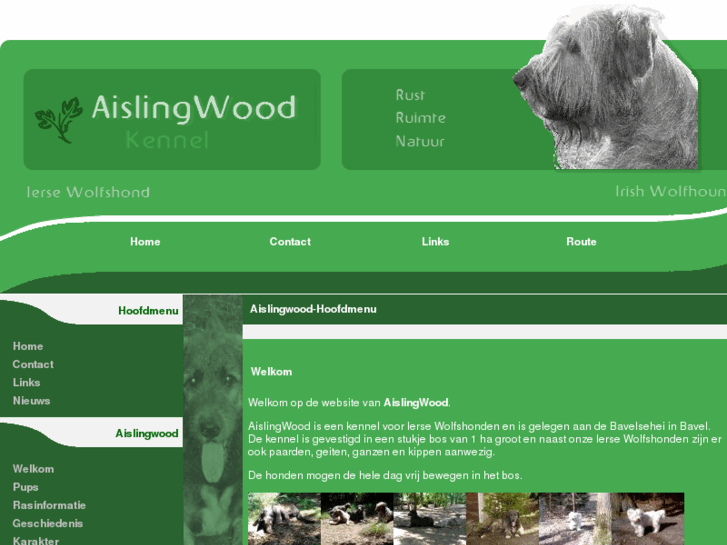 www.aislingwood.com