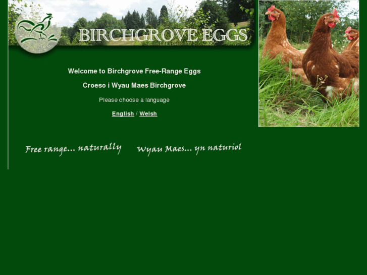 www.birchgrove-eggs.co.uk