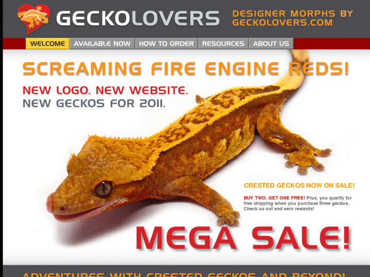 www.geckolovers.com