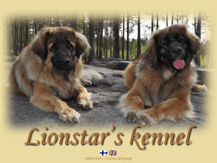 www.lionstarskennel.com