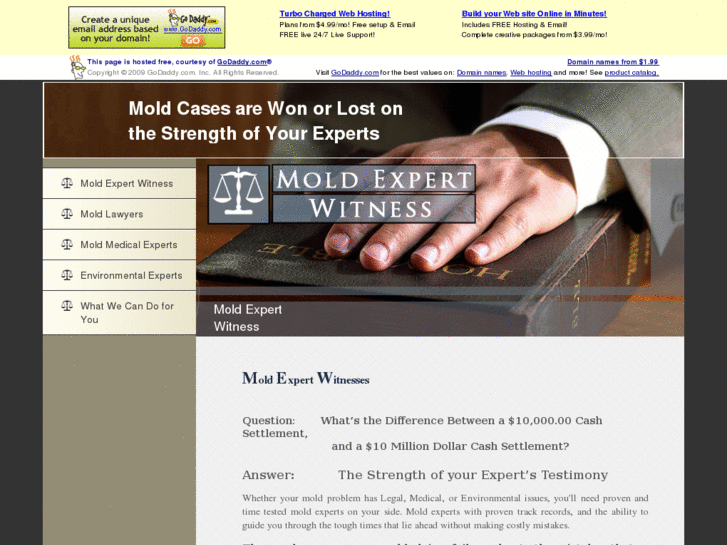 www.moldexpertwitness.com